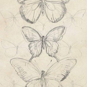 Meet your Posher, Aurora